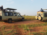 Uganda Wildlife Safaris | Wildlife Tours & Packages