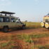 Uganda Safari Packages from Kigali | Ngoni Safaris