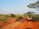 10 Frequently Asked Questions About Uganda Safaris