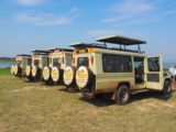 Ngoni Safaris Reviews