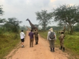 Uganda Safari Packages | Ngoni Safaris Uganda