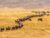 16-Day Kenya and Tanzania Safari