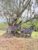 5-Day Kidepo Valley National Park Tour
