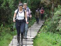 9-Day Rwenzori Central Circuit Trek with Margherita Peak