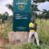Fascinating Facts About Gorillas in Uganda and Rwanda