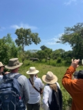 Ziwa Rhino Sanctuary in Uganda