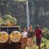 Malaria Vaccination Before Travelling to Uganda