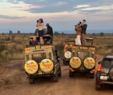 Luxury Safaris in Uganda