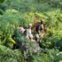 Effects of Coronavirus on the Tourism Sector