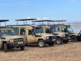 Safari Car Hire in Uganda