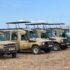 Baby-Friendly Safaris in East Africa