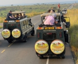 Uganda Safari Packages from Kigali | Ngoni Safaris