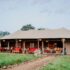 Ngorongoro Crater Tanzania Safari Guide | Ngoni Safaris