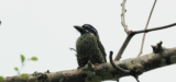 10 Leading Birding Destinations in Africa