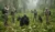 18-Day Safari Exploring Almost All Uganda National Parks
