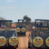 Uganda Safari: The Complete Guide to Planning Your 2027 Safari