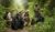 3-Day Uganda Gorilla Trekking Through Rwanda