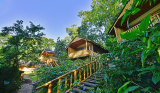 Midrange Lodges in Bwindi National Park
