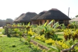 Homestays in Uganda Experience Local Life with Ngoni Safaris
