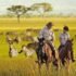 Local Tour Operators in Uganda | Ngoni Safaris