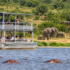 Elephants in Queen Elizabeth National Park, Uganda