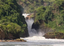 3-Day Refreshing Your Mind in Murchison Falls NP