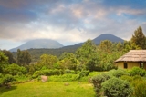 Mgahinga Gorilla National Park: Gorillas, Golden Monkeys & Volcano Hiking
