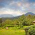 Best Hotels in Entebbe, Uganda: Where to Stay Before or After Your Safari