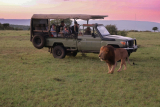 Safaribookings Uganda best safari company Ngoni Safaris