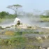 Where to Track Gorillas in Uganda